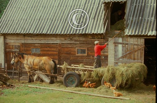 Poland Hay Barn DM0308 TIF